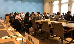中国派团参加WTO《政府采购协定》谈判