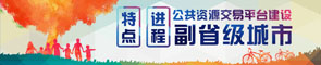 副省级城市公共资源交易平台建设进程和特点