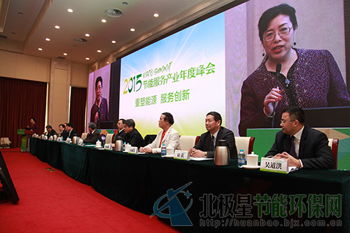 国家发改委环资司副司长王善成，工信部节能司副司长杨铁生，原工程院副院长杜祥琬院士，国家发改委气候司副司长蒋兆理，国家能源局节能与科技装备司副司长修炳林，国管局节能管理局司长张世良，国家住建部科技促进副主任梁俊强，中国节能协会副理事长、秘书长房庆、原世行/全球环境基金中国促进项目办执行主任王树茂等出席大会。峰会由EMCA副主任秘书长赵明主持